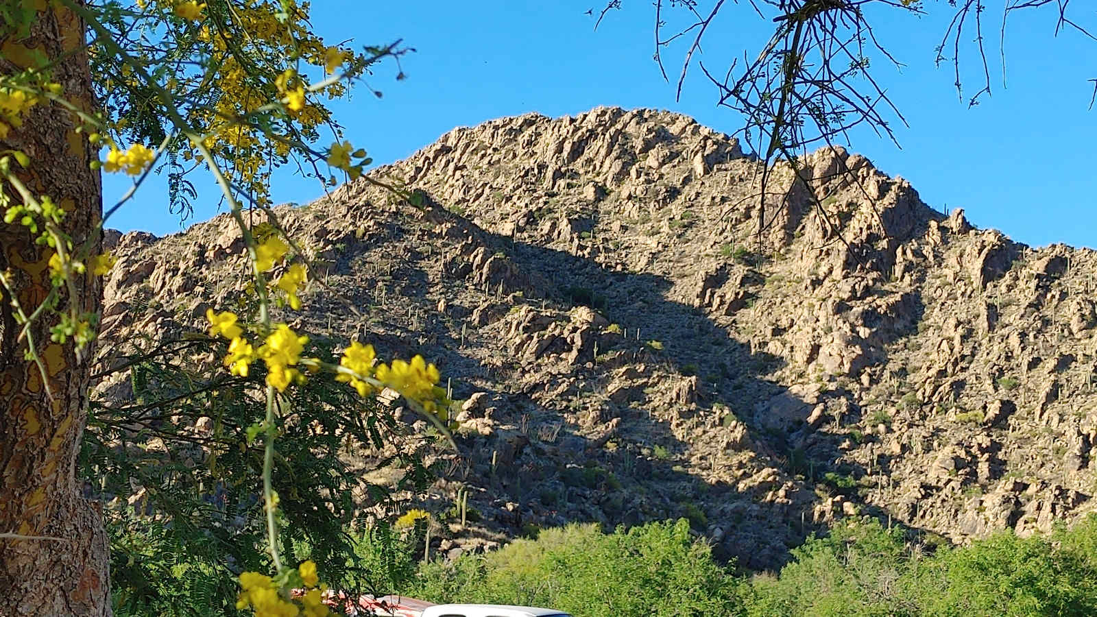 Epic Private 300 Acre Saguaro Park - glamping.directory