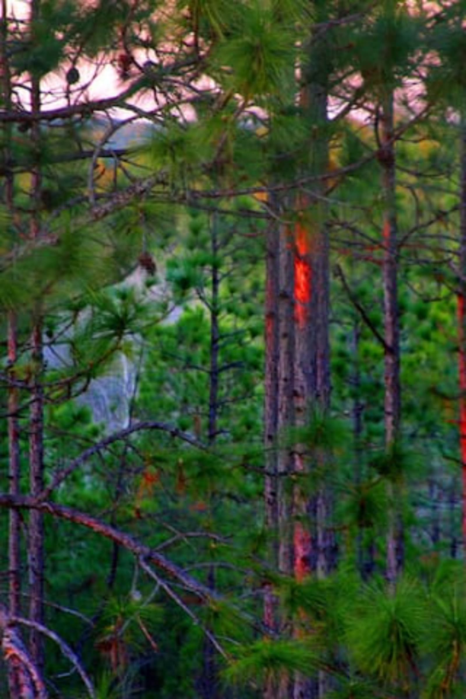 Heart of the Country - Spanish Fort, Alabama - glamping.directory