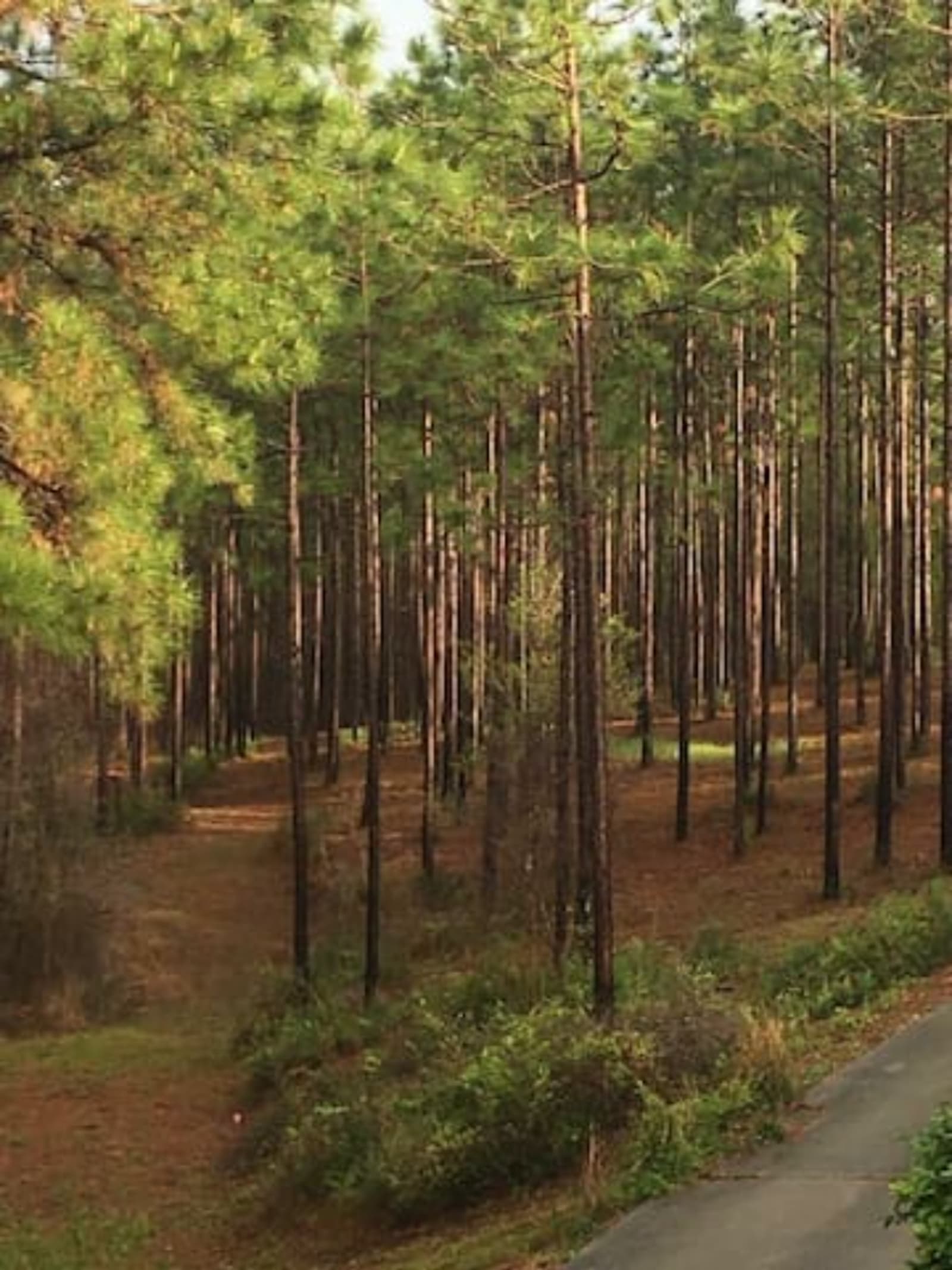 Heart of the Country - Spanish Fort, Alabama - glamping.directory