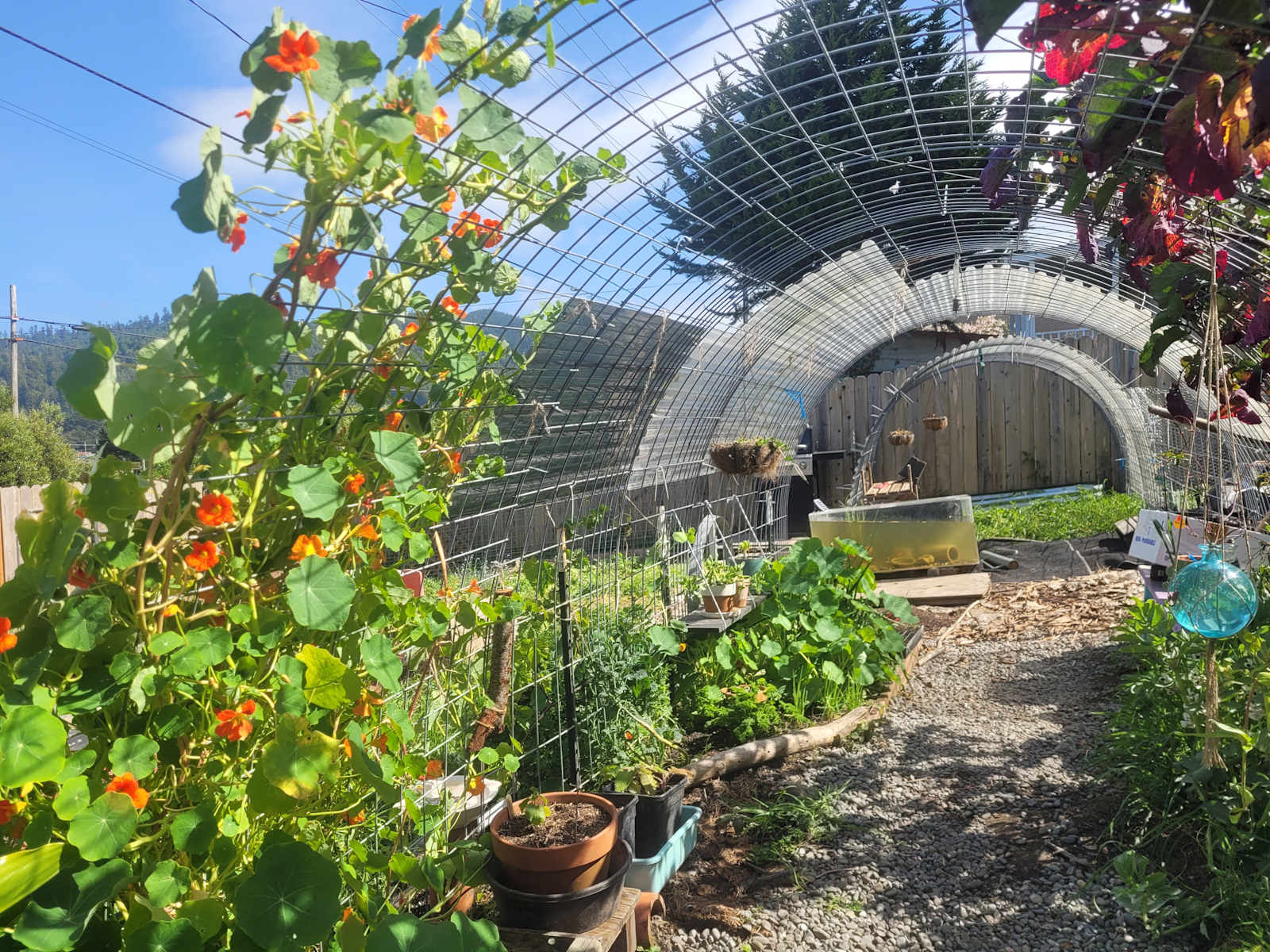 Pacific Studio - Rio Dell, California - glamping.directory
