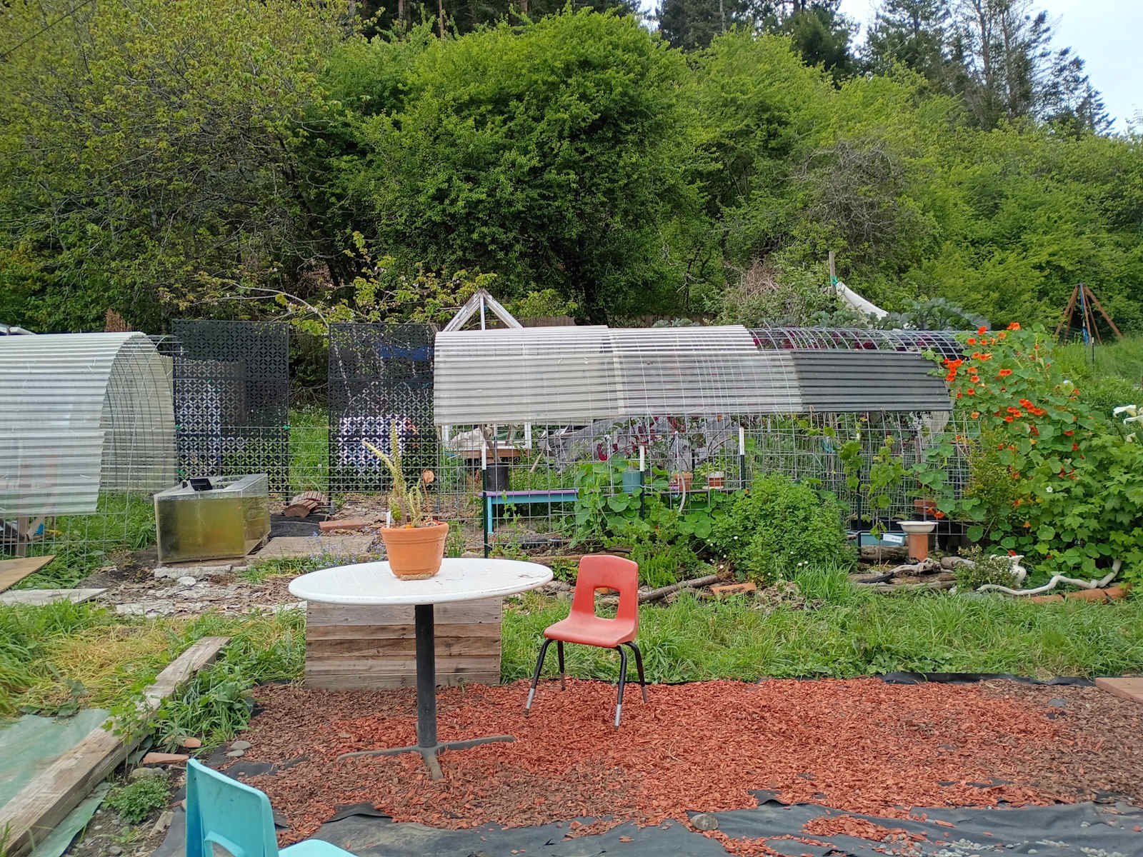 Pacific Studio - Rio Dell, California - glamping.directory