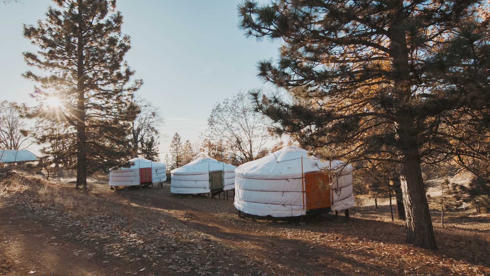 Sequoia Highland Camp - glamping.directory
