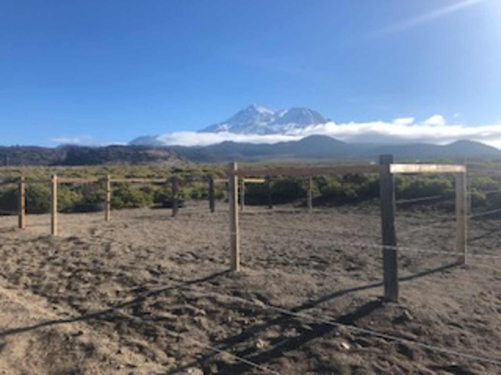 Juniper Spur Ranch - Weed, California - glamping.directory