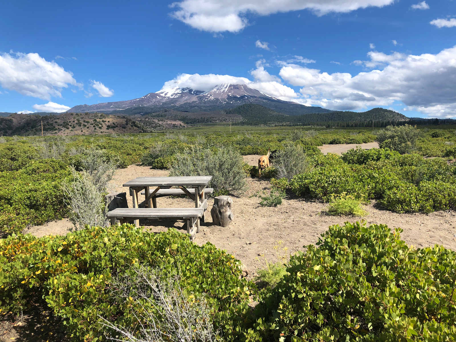 Juniper Spur Ranch - Weed, California - glamping.directory