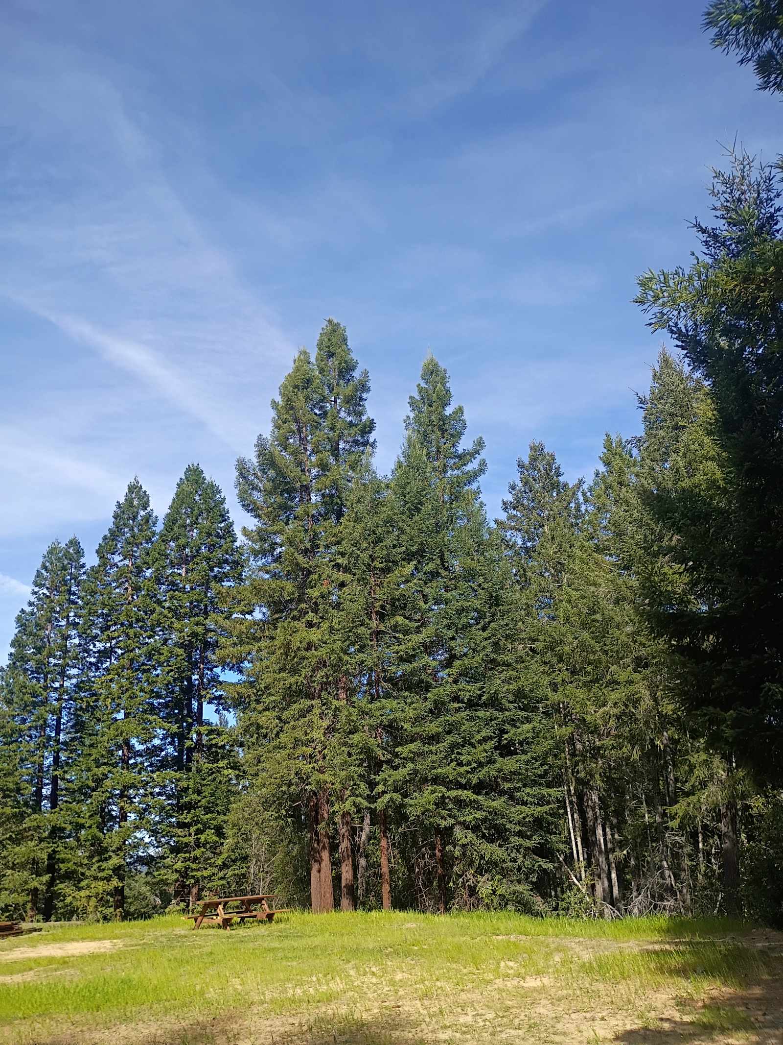 Robbers Roost Campground - Comptche, California - glamping.directory