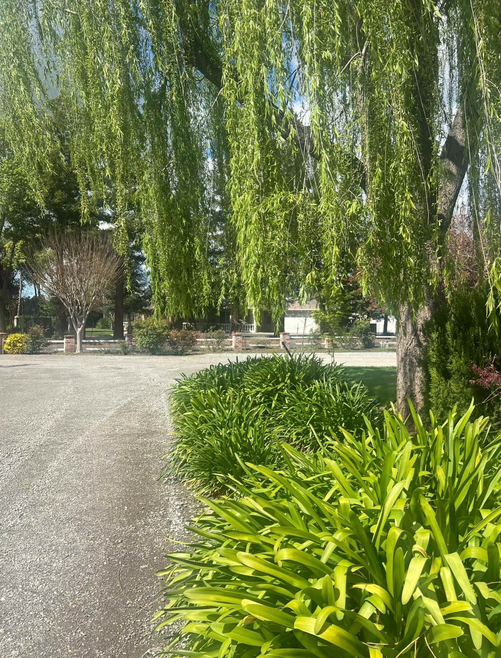Saddle and Sip Retreat - Gilroy, California - glamping.directory