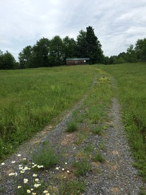 Rustic Cabin Rental for a Glamping Experience in Castorland, New York - Castorland, New York - glamping.directory