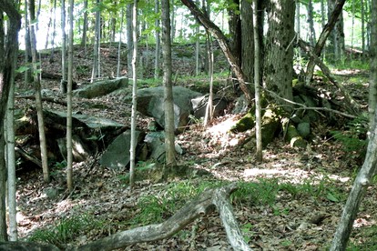 Rustic Cabin Rental for a Glamping Experience in Castorland, New York - Castorland, New York - glamping.directory
