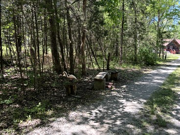 Peaceful Tiny Cabin Escape with Loft, Private Trail & Forest Views in Columbia, Tennessee - Columbia, Tennessee - glamping.directory