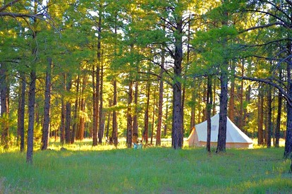 Grand Canyon Glamping Tents Perfect for Arizona Vacations - Grand Canyon Village, Arizona - glamping.directory