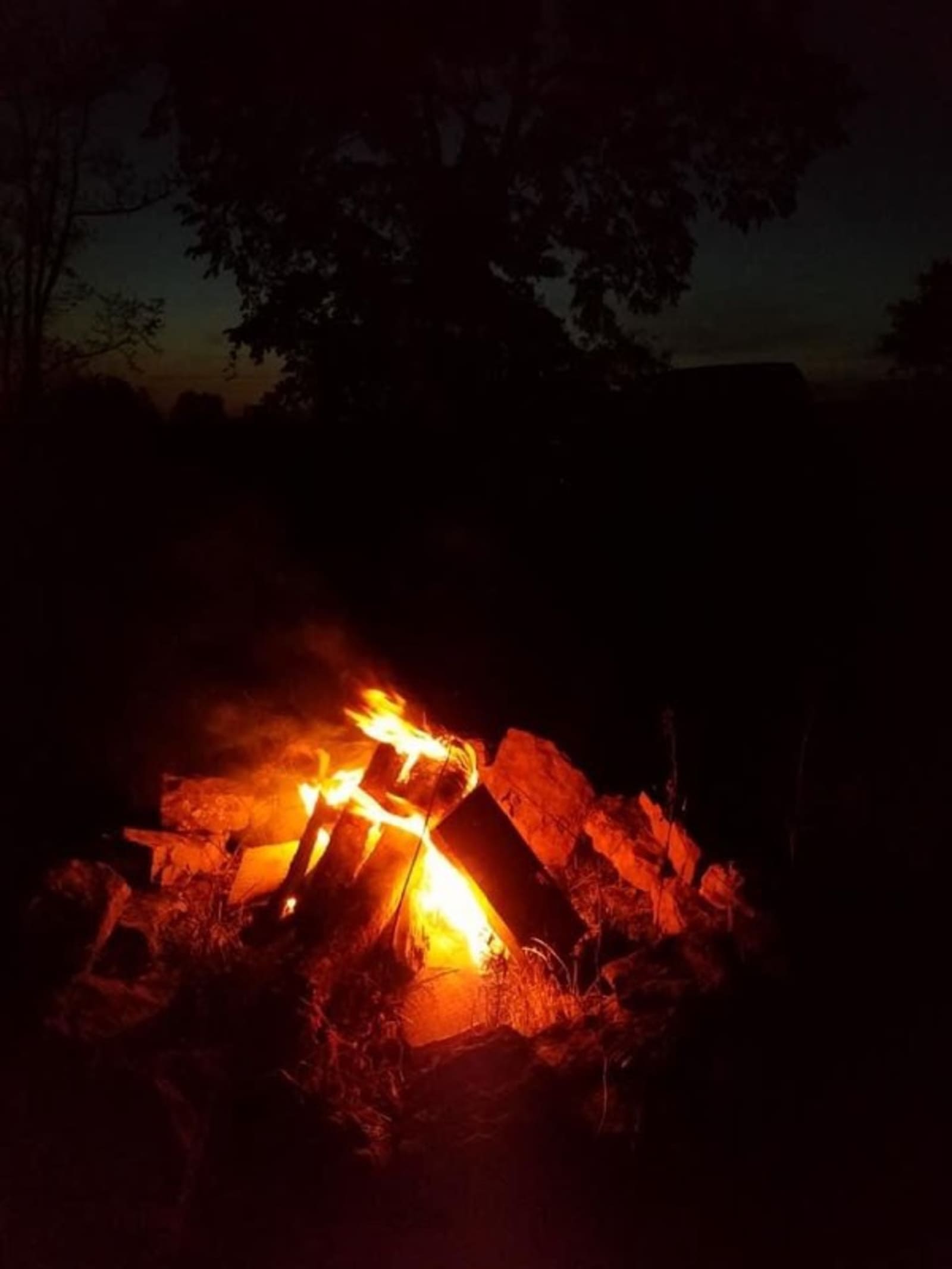 Paradise Camp - Ozark, Arkansas - glamping.directory