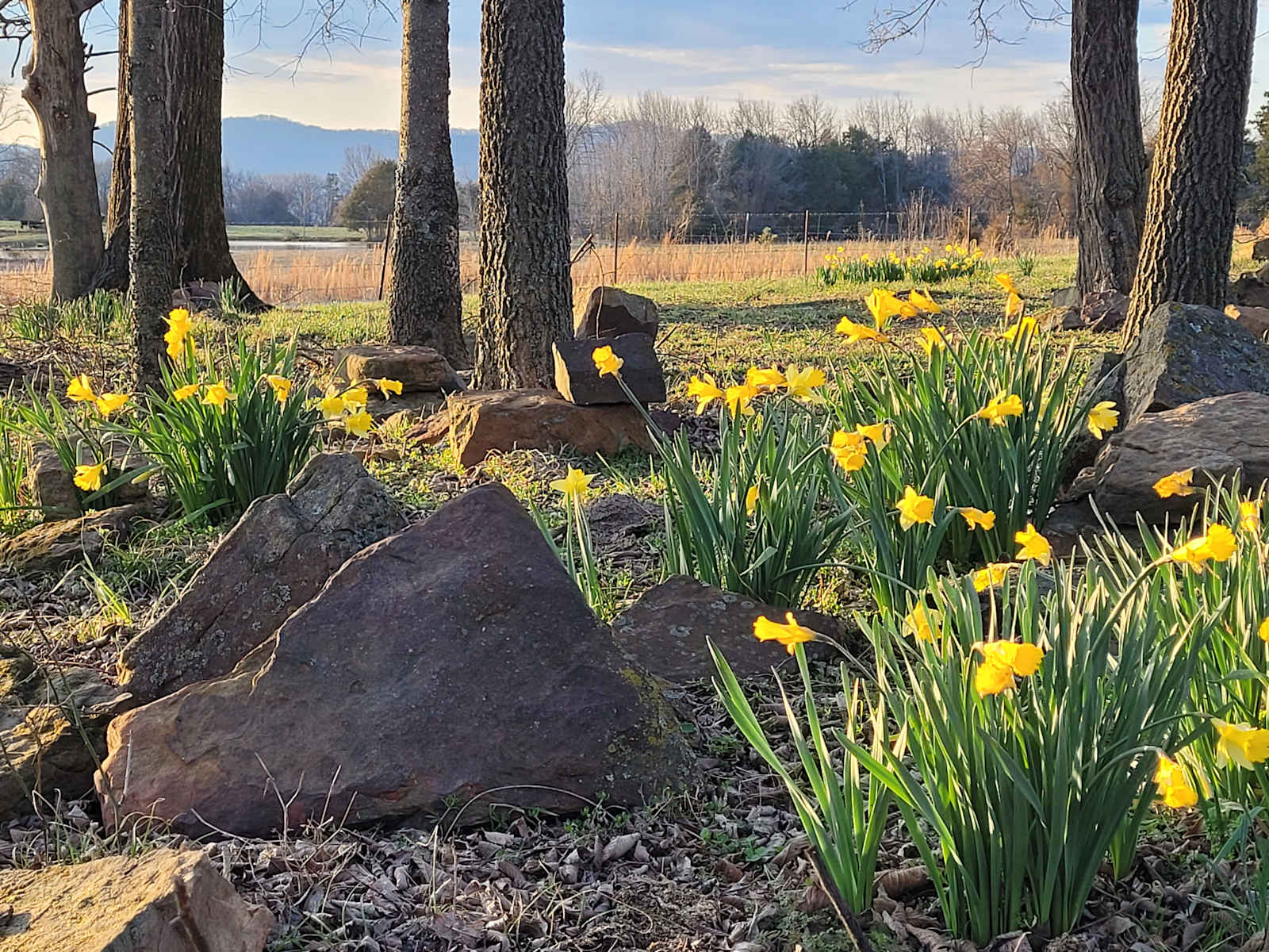 Paradise Camp - Ozark, Arkansas - glamping.directory