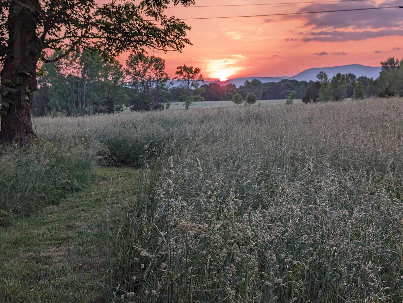 Paradise Camp - Ozark, Arkansas - glamping.directory
