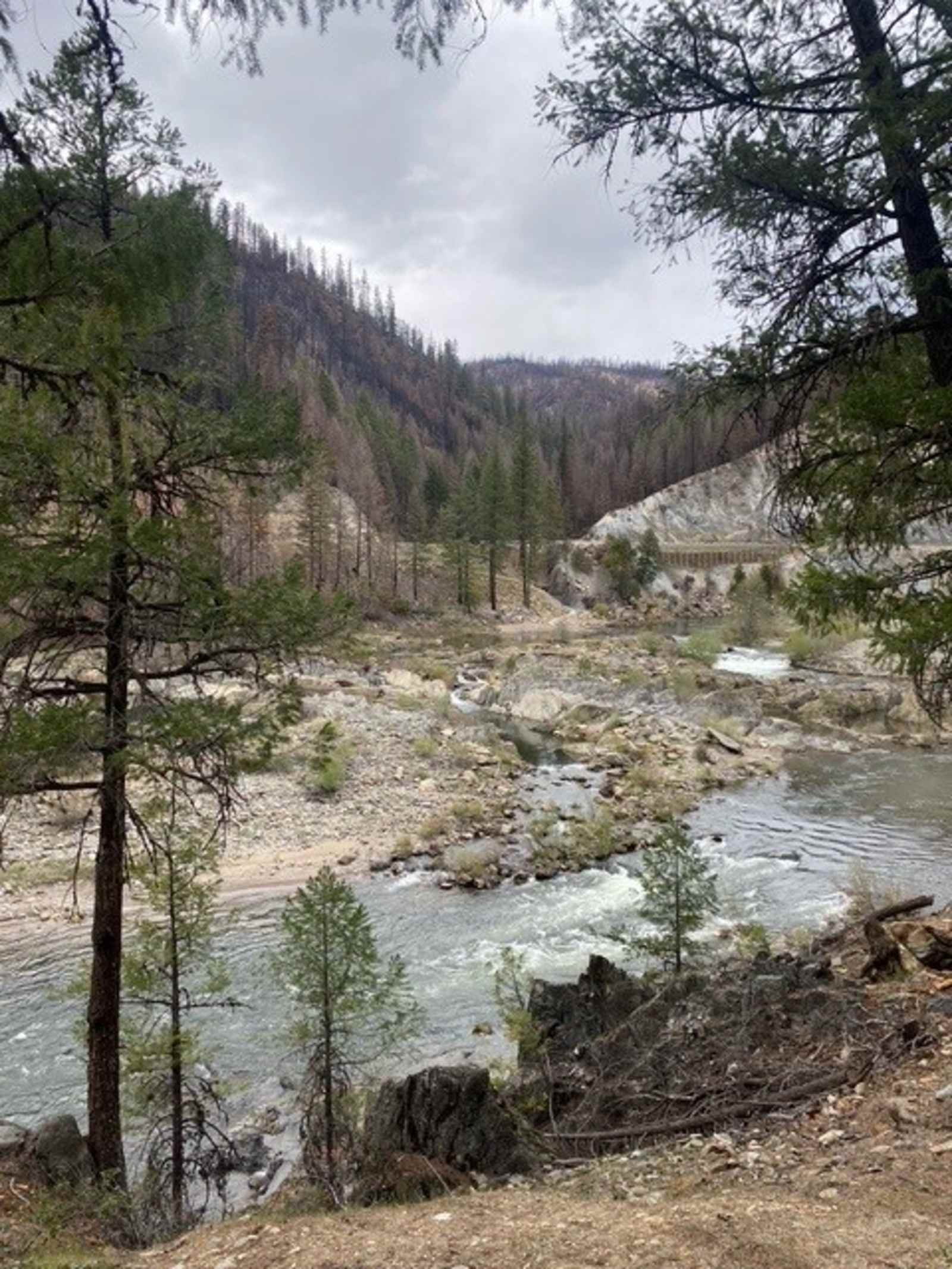 Golden Pine Campground, Paxton, Ca - Crescent Mills, California - glamping.directory