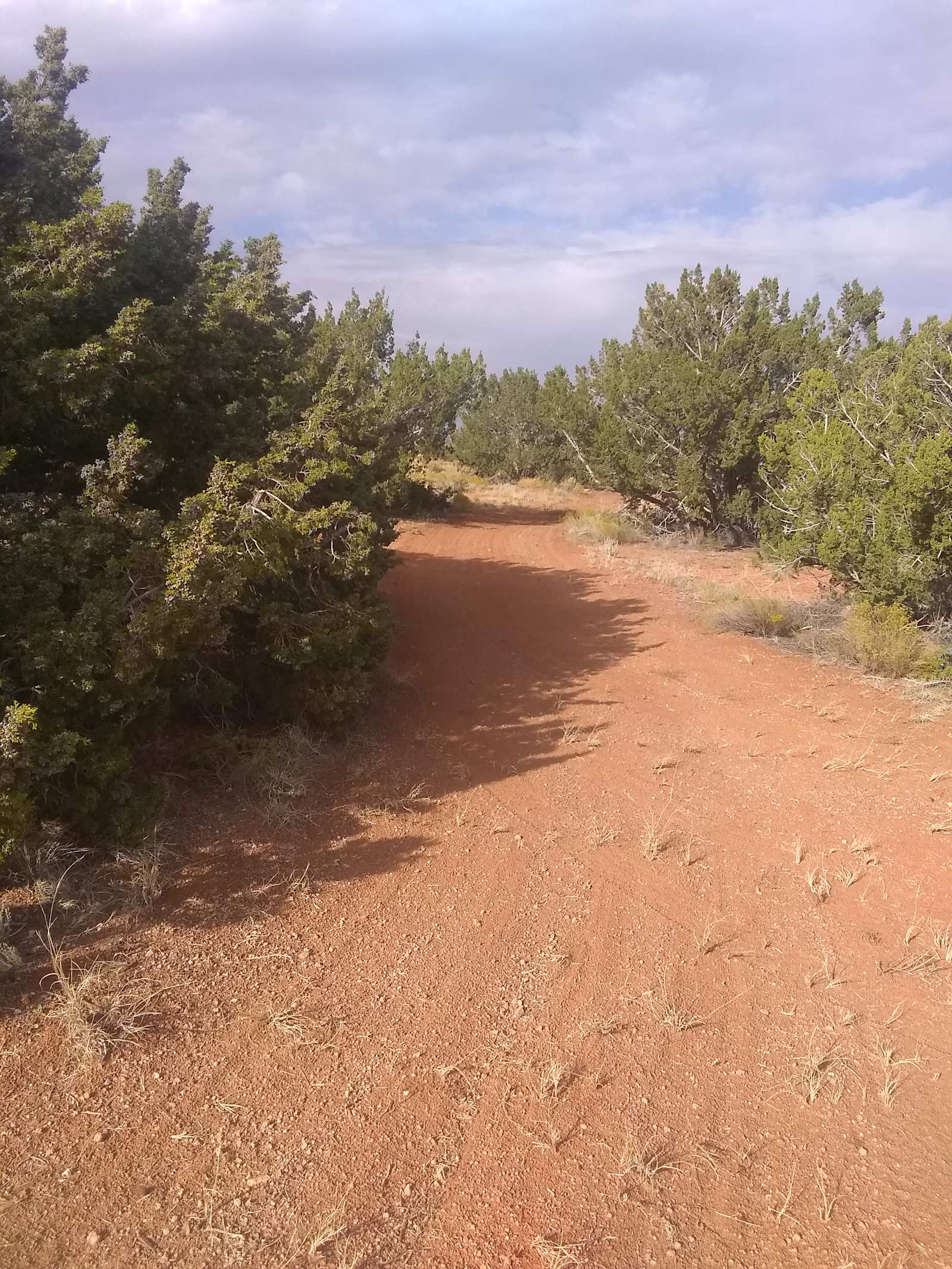Lancelot desert camping - Heber Overgaard, Arizona - glamping.directory