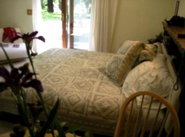 Stunning Secluded Retreat near Wineries in Middletown, California - Middletown, California - glamping.directory