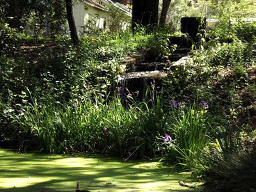 Stunning Secluded Retreat near Wineries in Middletown, California - Middletown, California - glamping.directory