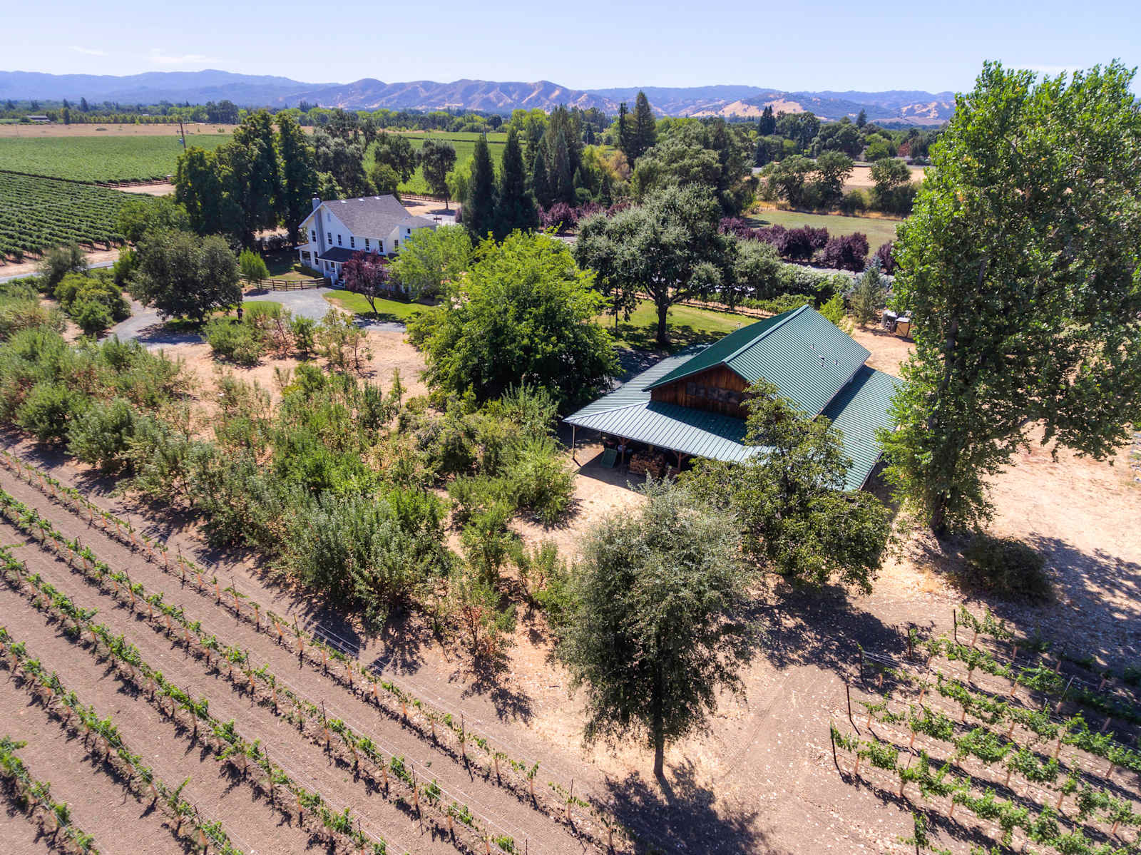 The Ripe Choice Farm Stay - Lakeport, California - glamping.directory