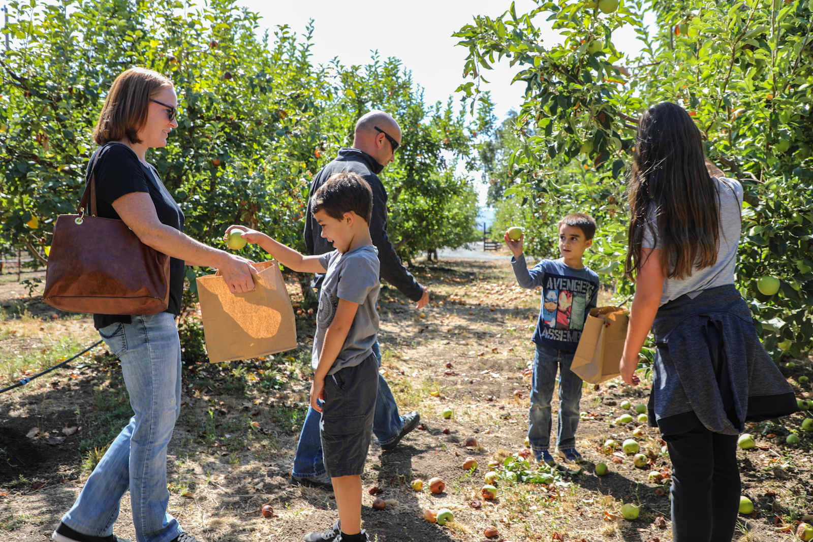 The Ripe Choice Farm Stay - Lakeport, California - glamping.directory