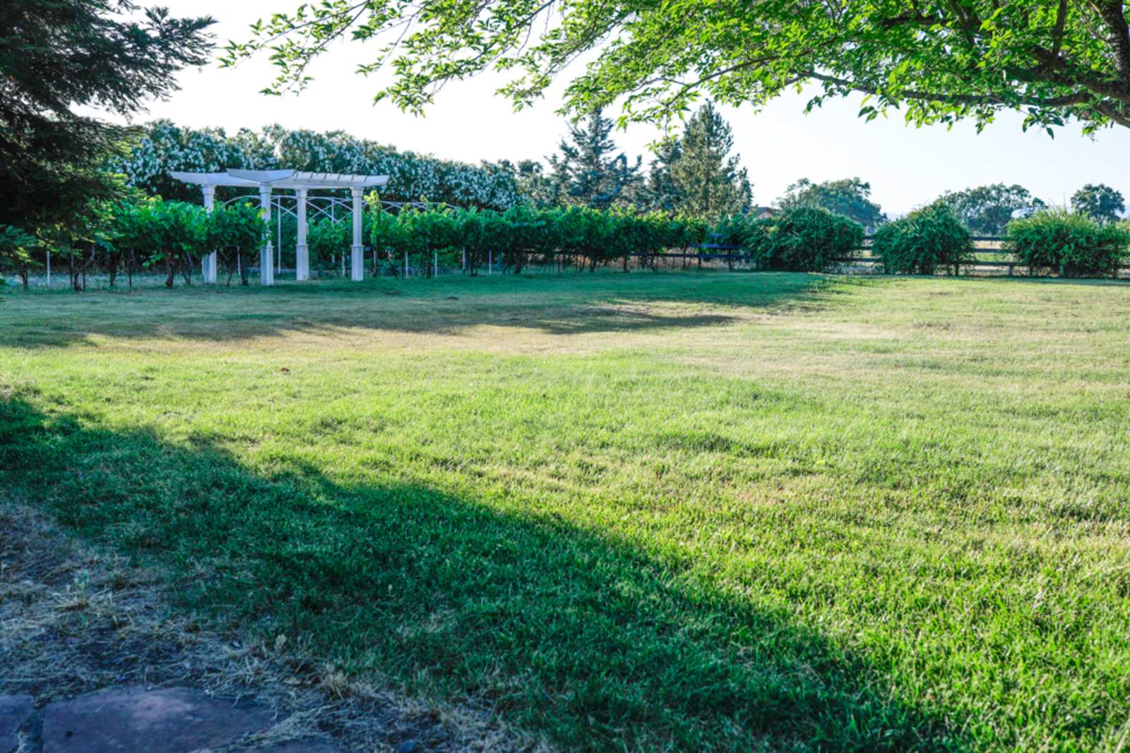 The Ripe Choice Farm Stay - Lakeport, California - glamping.directory