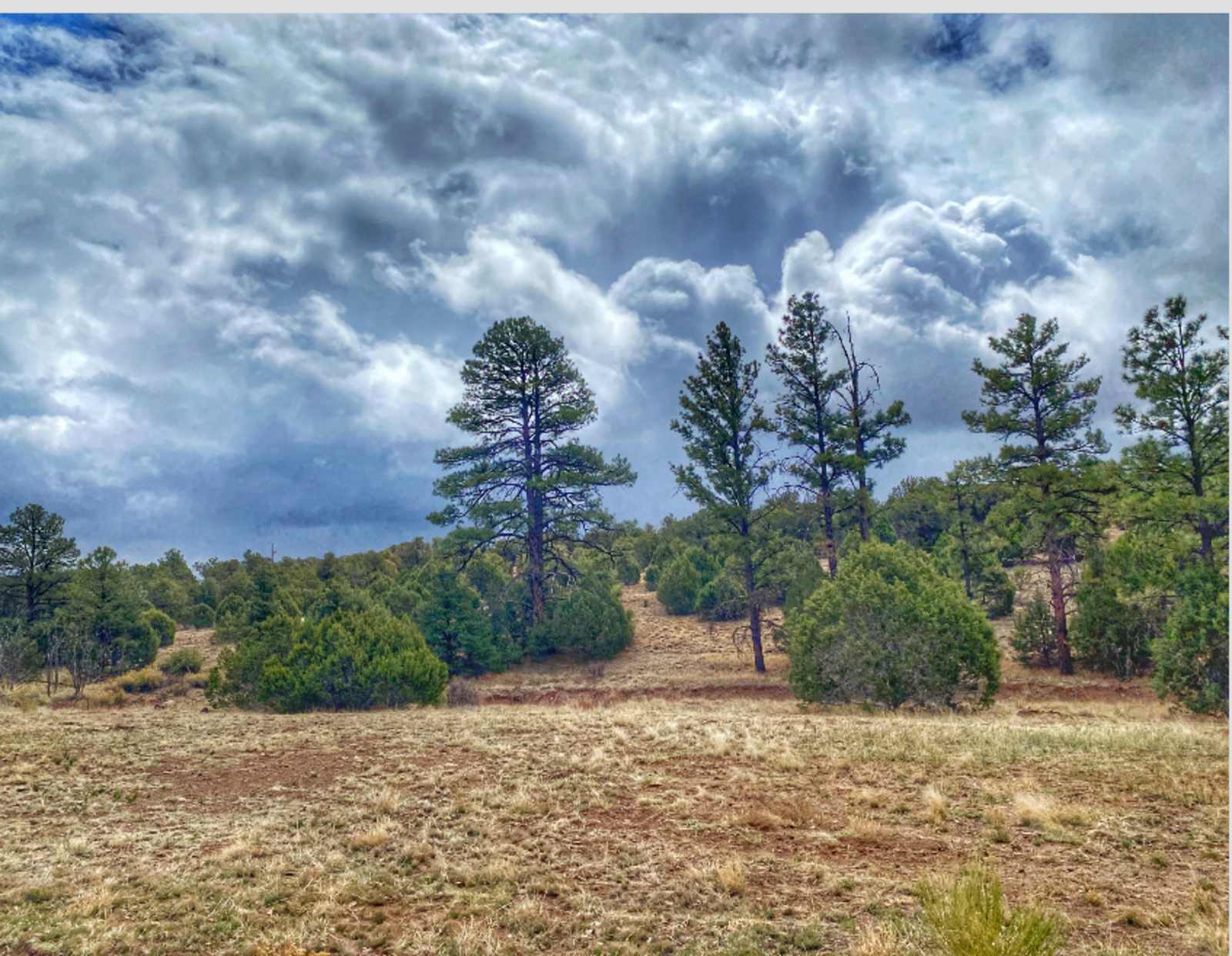 Horse friendly campsites - Linden, Arizona - glamping.directory