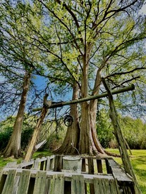 Lovely Creekside Vacation Rental for a Country Honeymoon in Fredericksburg, Texas - Fredericksburg, Texas - glamping.directory