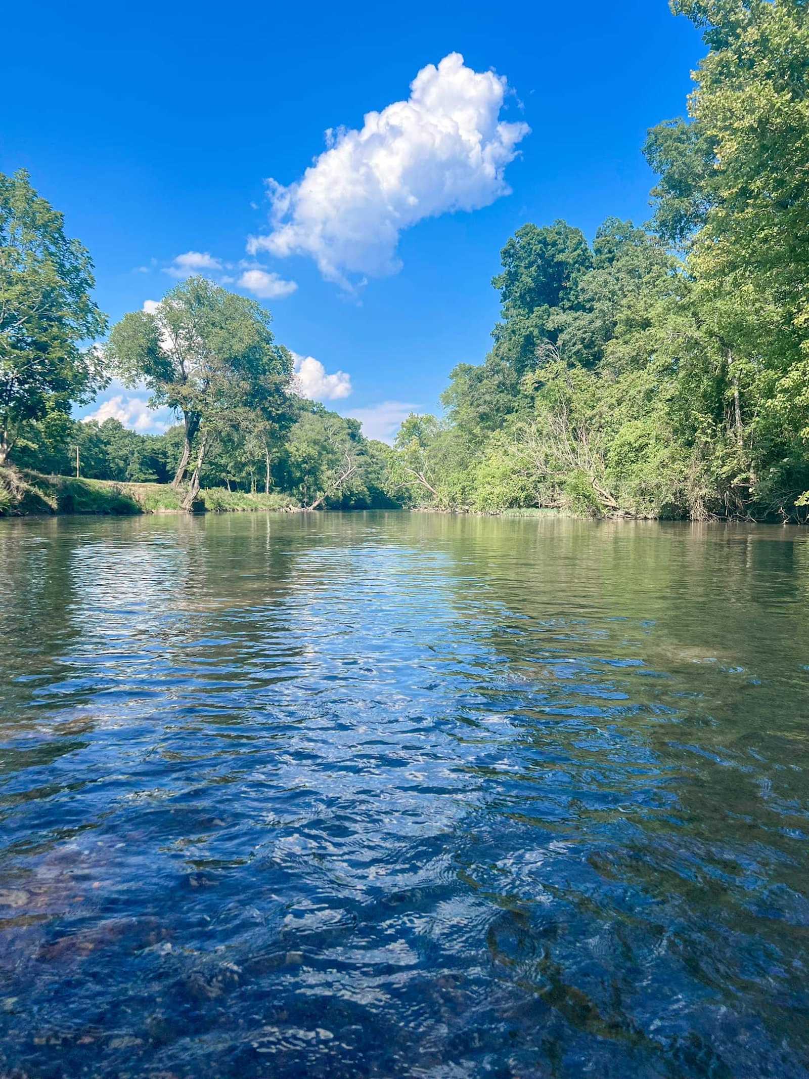 Camp Tooga - Gaylesville, Alabama - glamping.directory