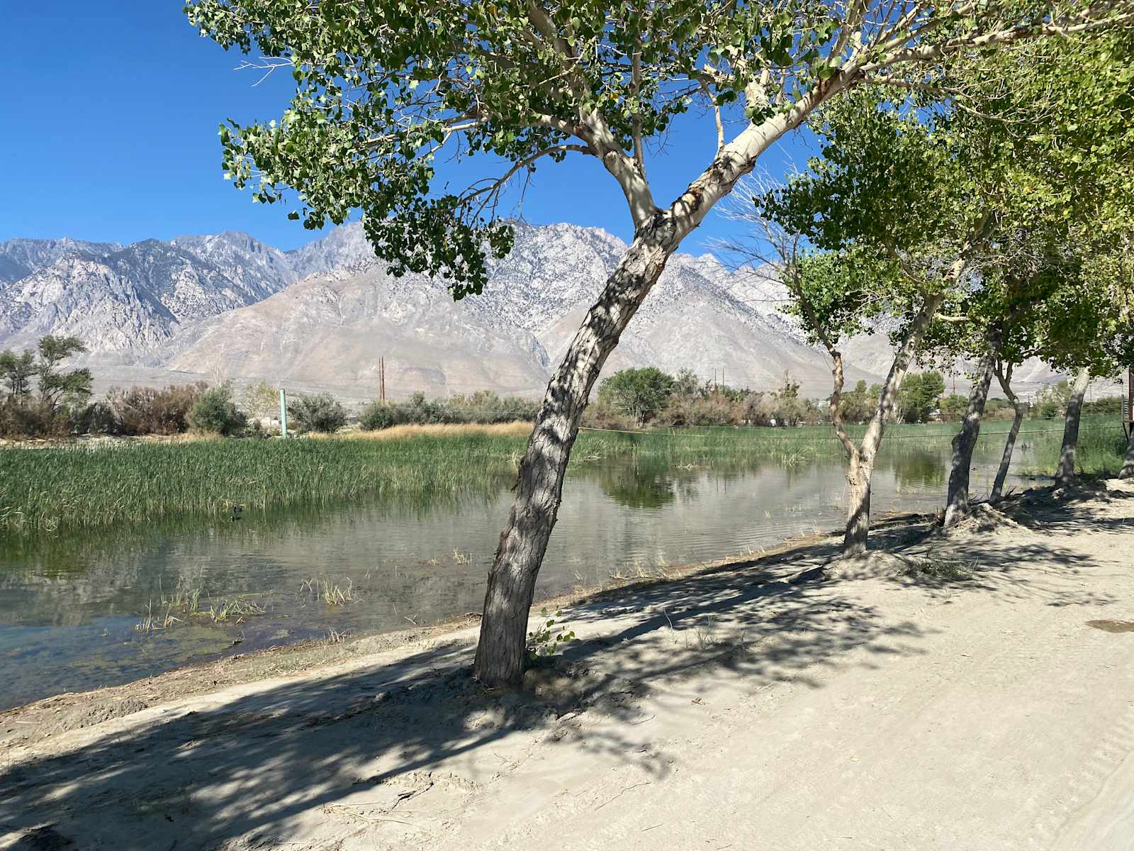 Lake Olancha RV Park Campground - Olancha, California - glamping.directory
