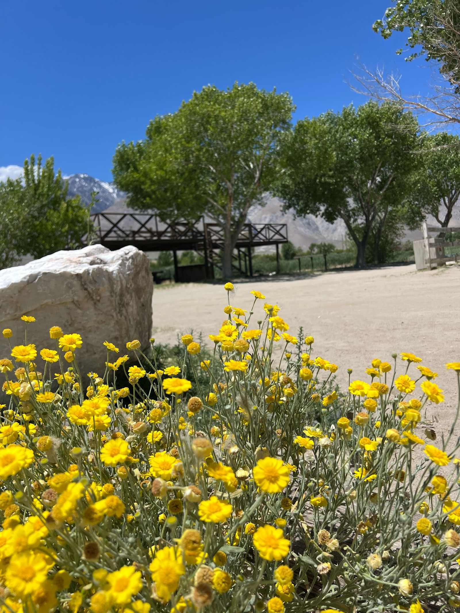 Lake Olancha RV Park Campground - glamping.directory