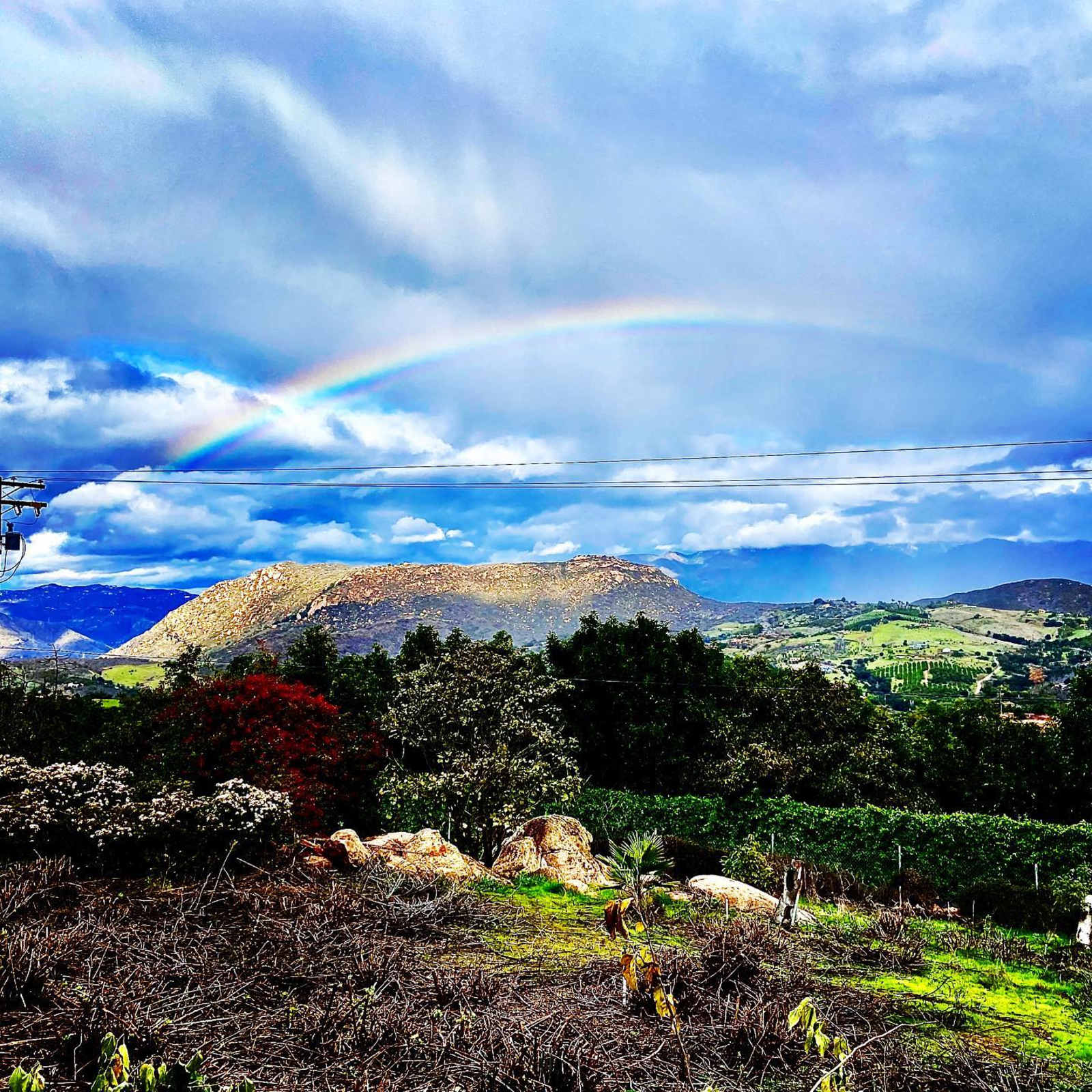 Elysian Groves - Valley Center, California - glamping.directory