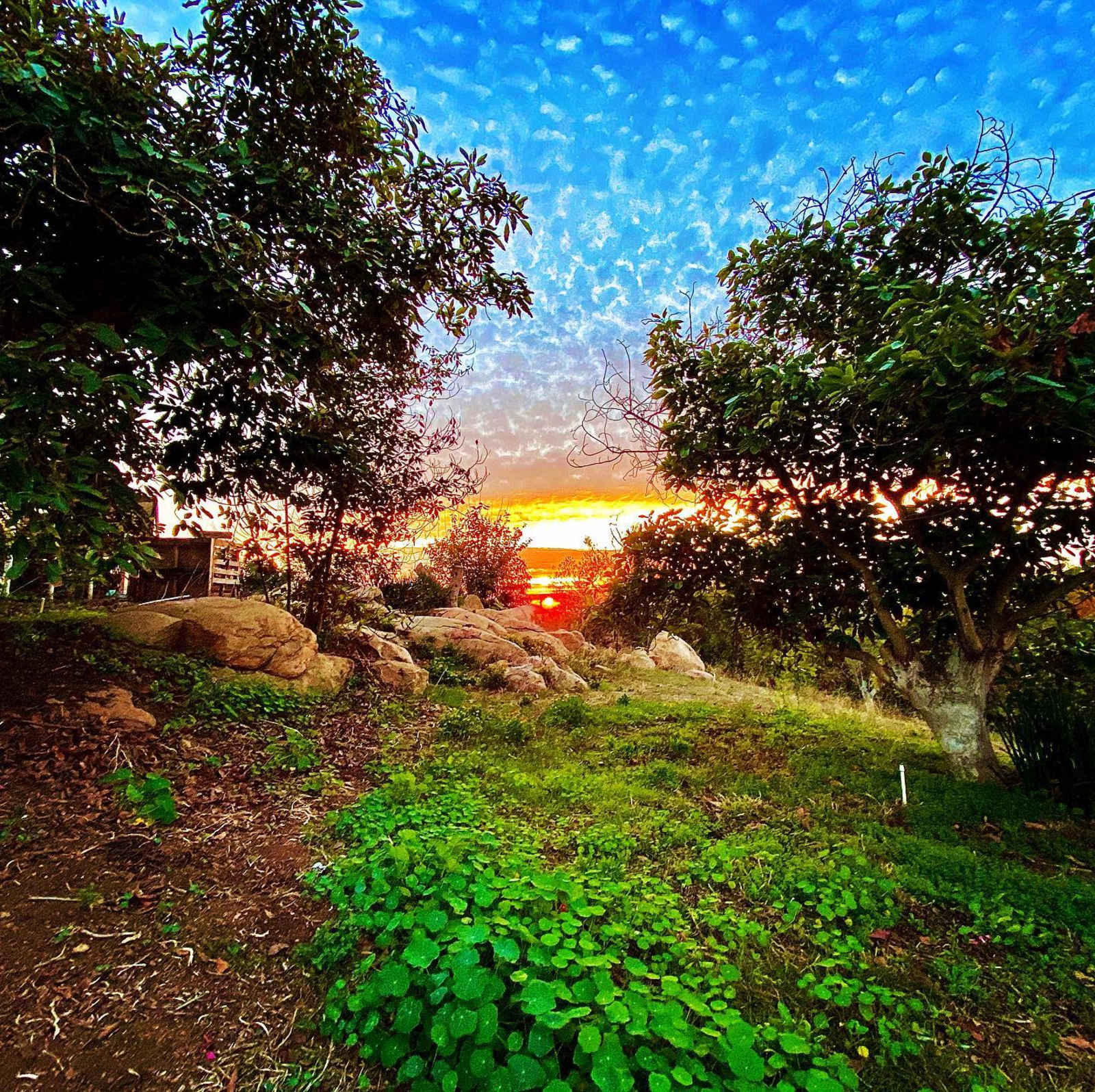 Elysian Groves - Valley Center, California - glamping.directory