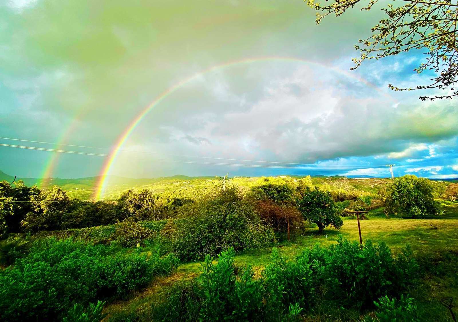 Elysian Groves - glamping.directory