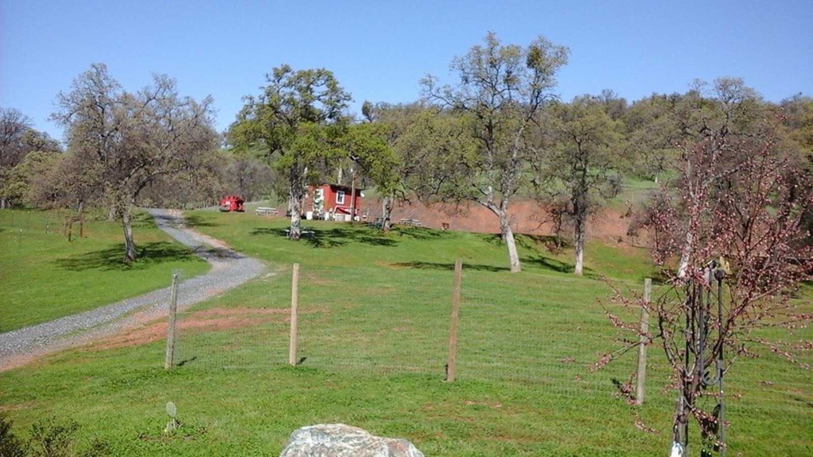 Mommapeggs Getaway in the Sierra - Chinese Camp, California - glamping.directory