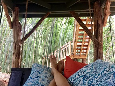 Atlanta Alpaca Treehouse in the Bamboo Forest - Atlanta, Georgia - glamping.directory