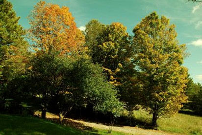 Secluded Getaway for Two Guests with Breakfast Included near Groton State Forest, Vermont - Marshfield, Vermont - glamping.directory