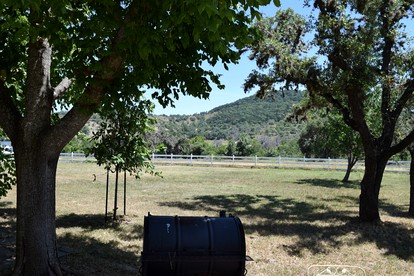 Unique Family Getaway on an Impressive Ranch near Medina in Texas Hill Country - Medina, Texas - glamping.directory