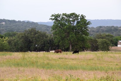 Unique Family Getaway on an Impressive Ranch near Medina in Texas Hill Country - Medina, Texas - glamping.directory