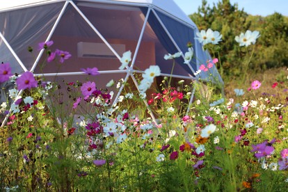 Cosmic Intimacy: Geodesic Dome Escape for Couples in a Dreamy Michigan Setting - Boyne Falls, Michigan - glamping.directory