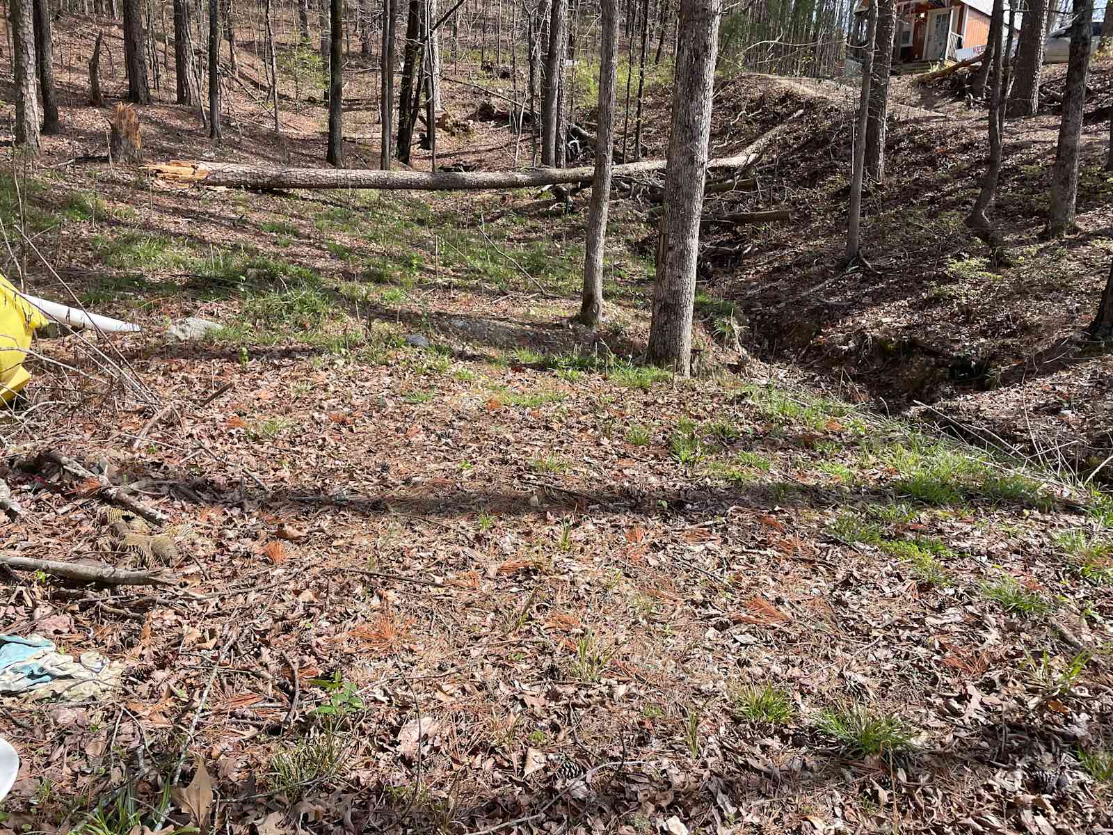 Wooded spot close to downtown - Hot Springs National Park, Arkansas - glamping.directory
