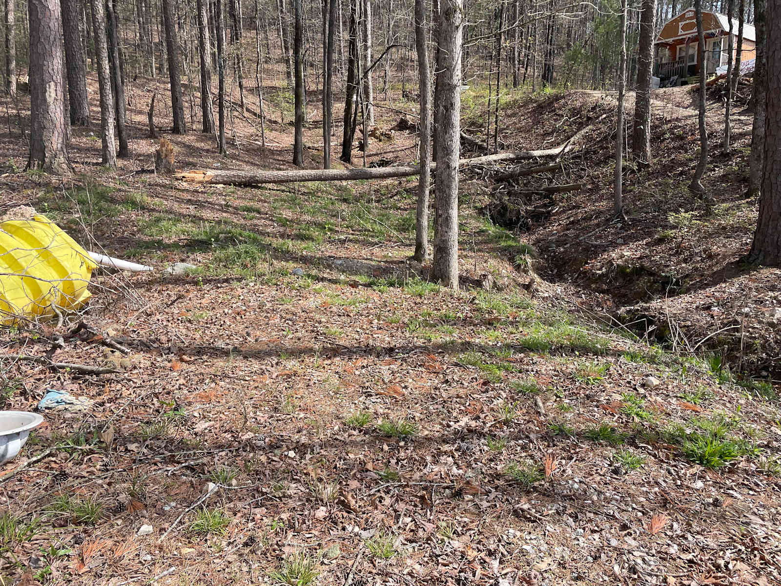 Wooded spot close to downtown - glamping.directory