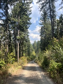 Cute Tiny House in the Woods for a Peaceful Getaway in Nature near Clark Fork, Idaho - Clark Fork, Idaho - glamping.directory