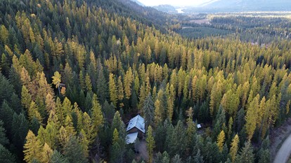 Cute Tiny House in the Woods for a Peaceful Getaway in Nature near Clark Fork, Idaho - Clark Fork, Idaho - glamping.directory
