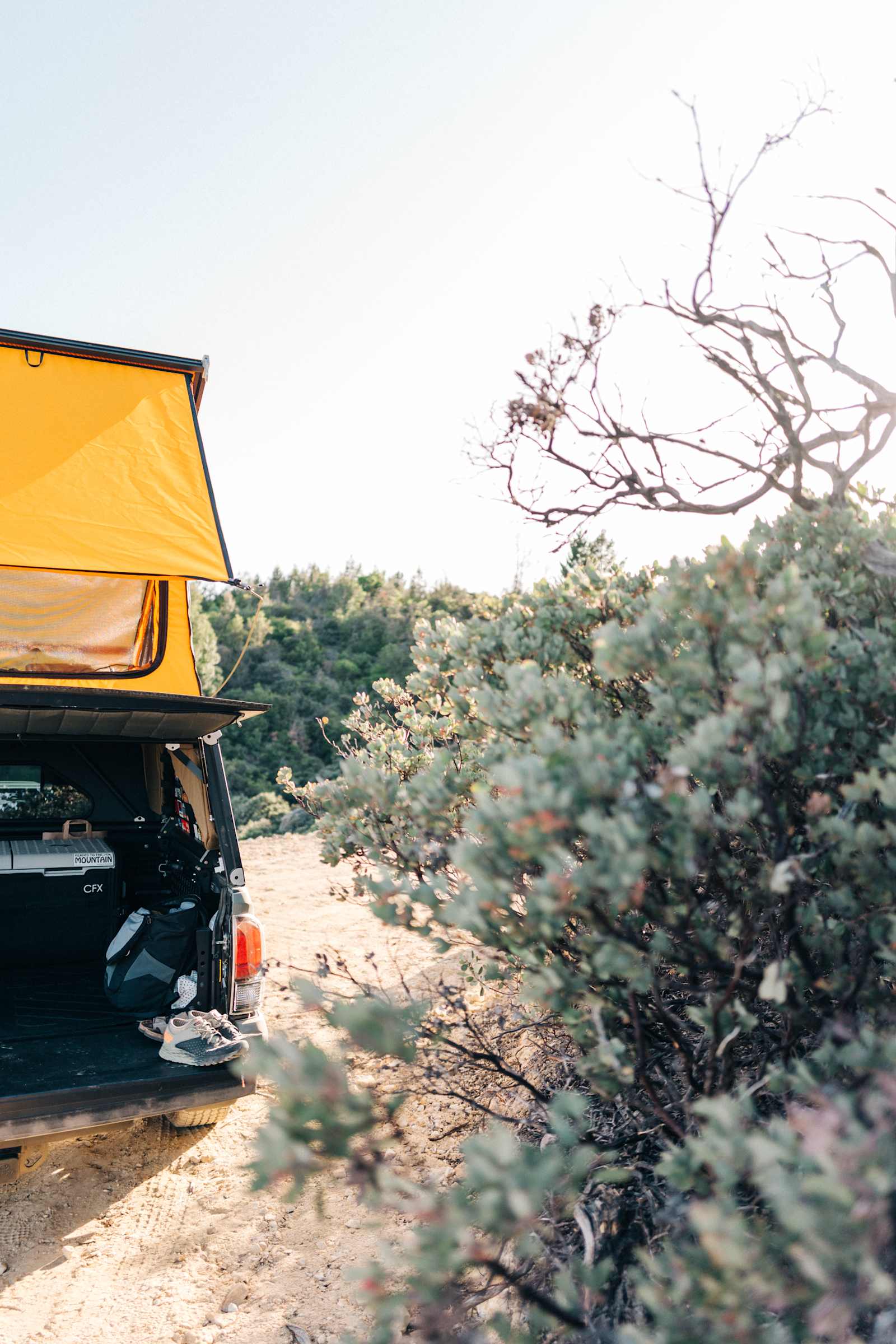 Santa Cruz Bayview Retreat - Day Valley, California - glamping.directory