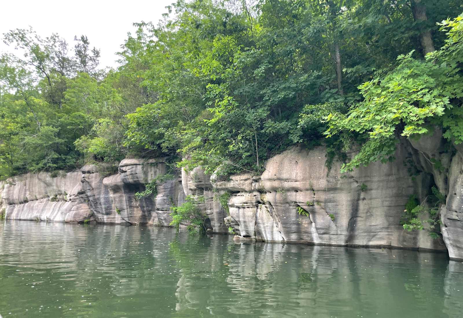 Savoy Island Ranch - Mountain View, Arkansas - glamping.directory