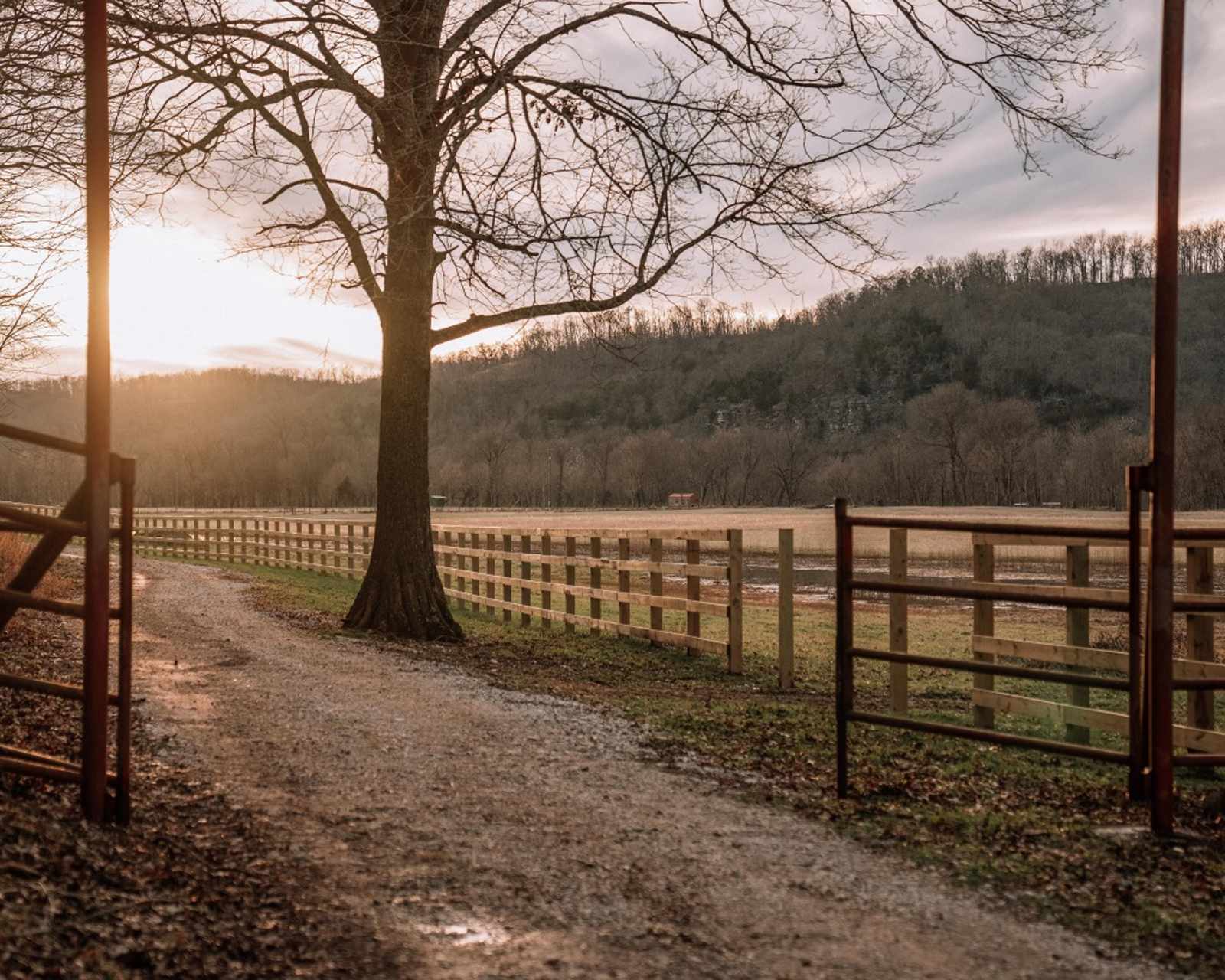 Savoy Island Ranch - Mountain View, Arkansas - glamping.directory