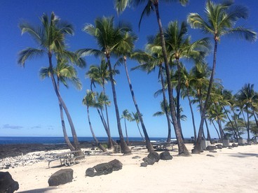 Idyllic Getaway with Ocean Views in Captain Cook, Hawaii - Captain Cook, Hawaii - glamping.directory