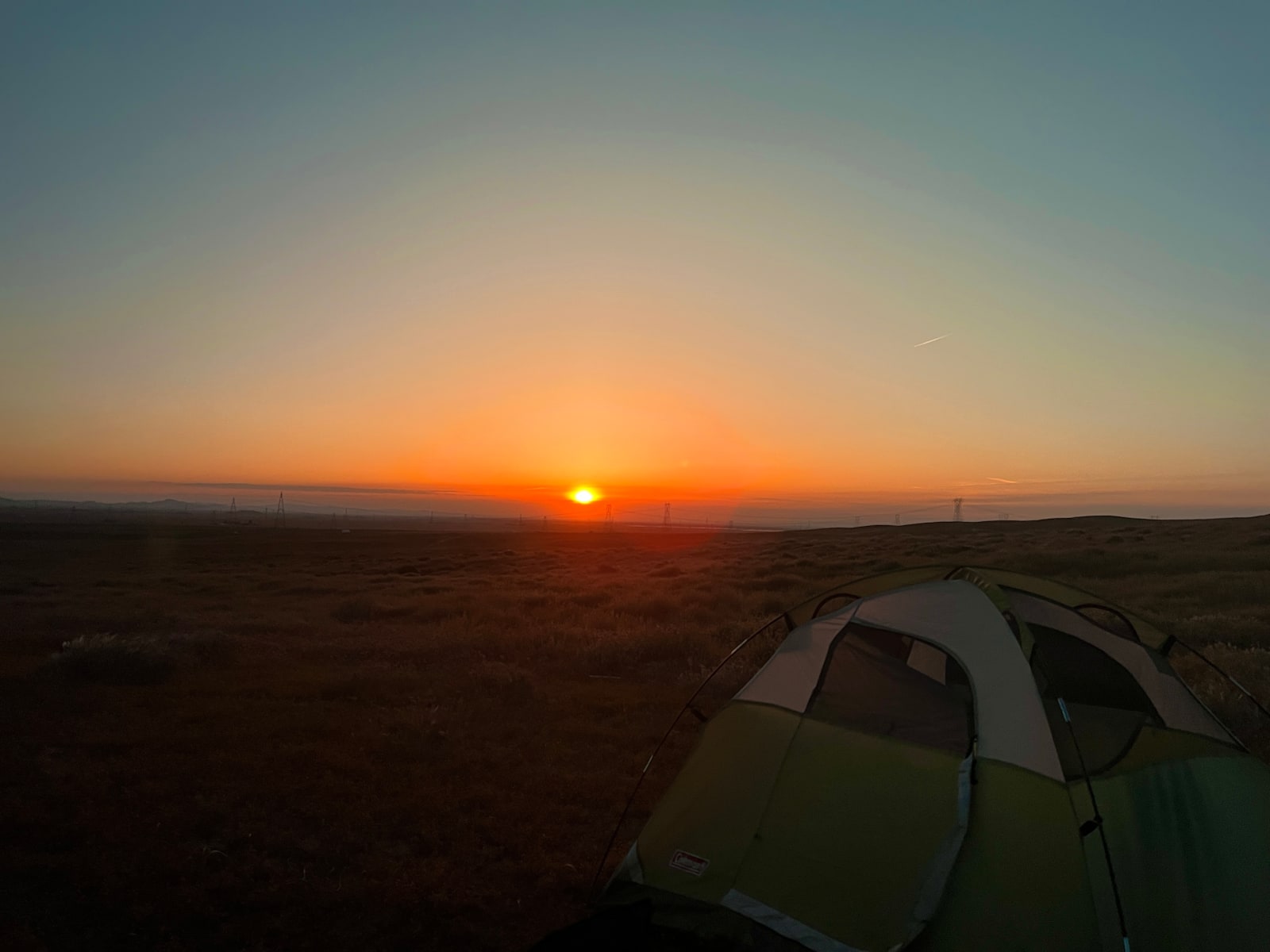 California Poppy & Wildflower Field - Lake Hughes, California - glamping.directory
