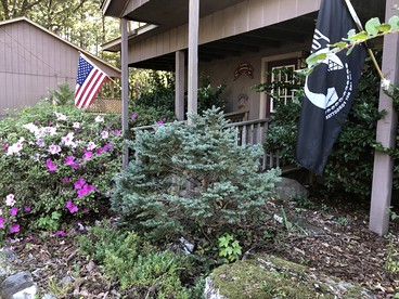 Mountain Cabin with Forest Views by South Fork Ouachita River, Arkansas - Mount Ida, Arkansas - glamping.directory