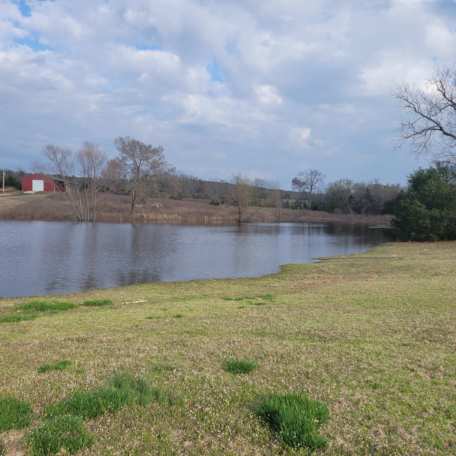 Wellness in the Woods - Mena, Arkansas - glamping.directory