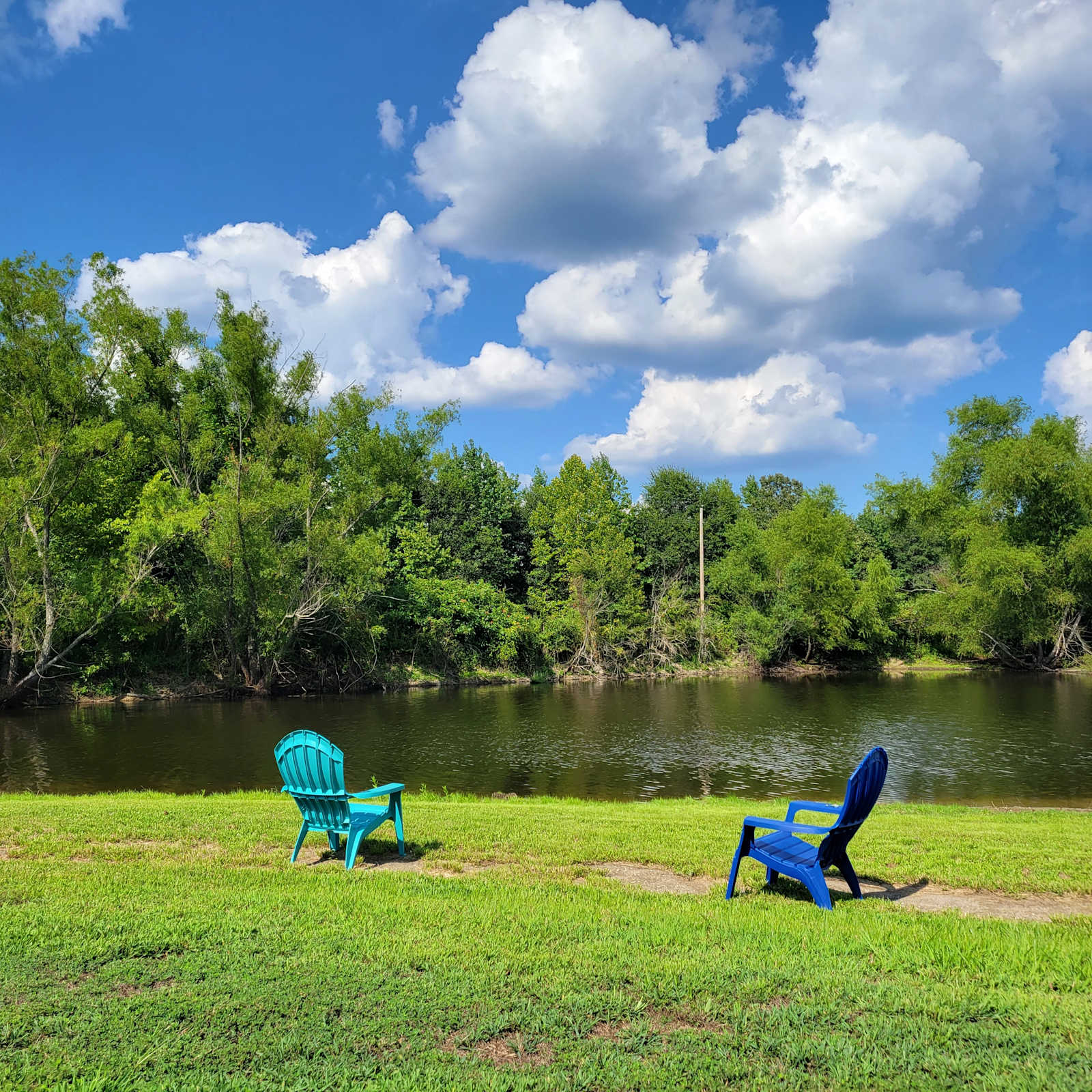 Wellness in the Woods - glamping.directory